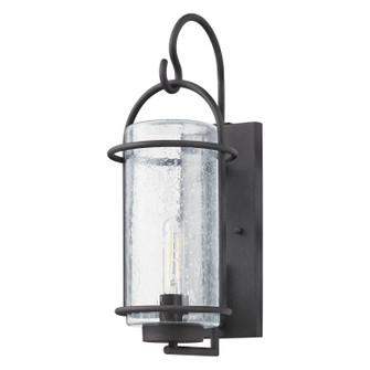 Taplow One Light Exterior Wall Sconce in Weathered Zinc (577|207137A)