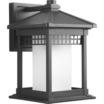 Merit One Light Wall Lantern in Black (54|P6001-31) Merit One Light Wall Lantern in Black (54|P6001-31)