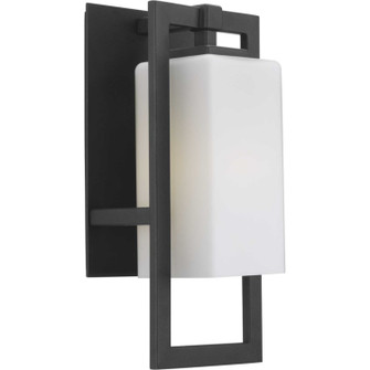 Jack One Light Wall Lantern in Black (54|P5948-31)