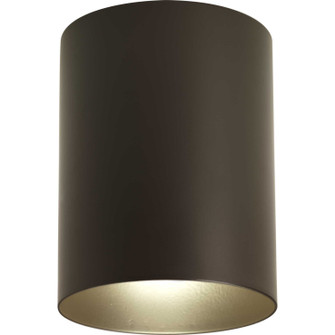 Cylinder One Light Outdoor Ceiling Mount in Antique Bronze (54|P5774-20)