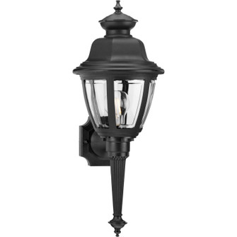 Non-Metallic Incandescent One Light Wall Lantern in Black (54|P5738-31)