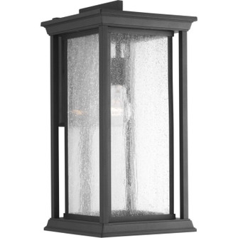 Endicott One Light Wall Lantern in Black (54|P5613-31)