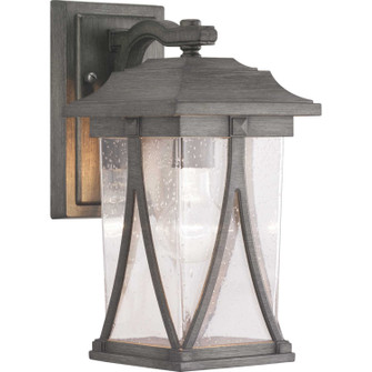 Abbott One Light Wall Lantern in Antique Pewter (54|P560113-103)