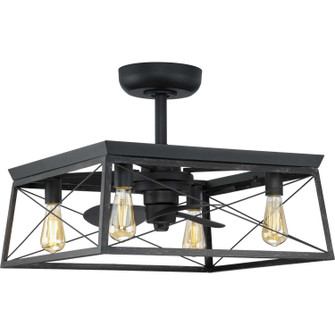 Briarwood 22'' Ceiling Fan in Matte Black (54|P250067-31M-WB)