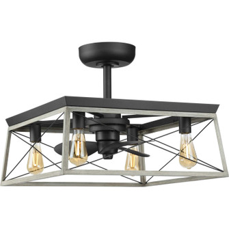 Briarwood 22'' Ceiling Fan in Graphite (54|P250067-143-WB)