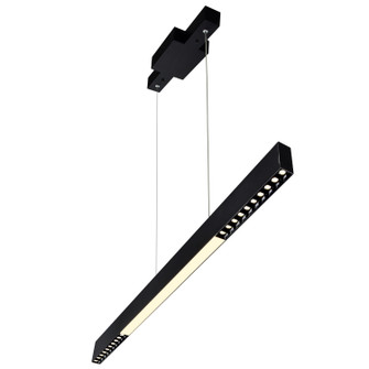 Pienza LED Chandelier in Black (401|1701P45-B-101)