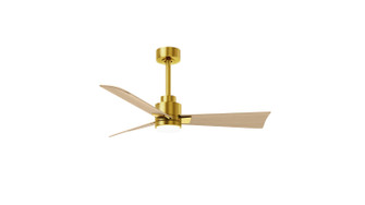 Alessandra - LK 42'' Ceiling Fan in Brushed Brass (101|AKLK-BRBR-LM-42)