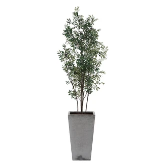 Sonora Olive Planter in Silvery-green (52|60269)