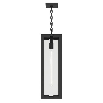 Calen One Light Outdoor Pendant in Textured Black (12|59212BKT)