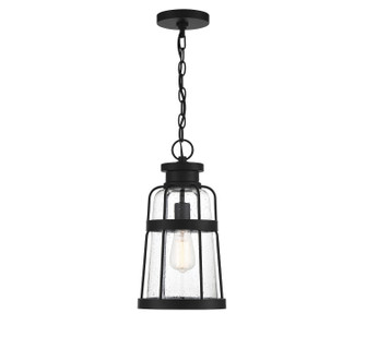 Quinton One Light Outdoor Hanging Lantern in Matte Black (51|L5-2943-BK)