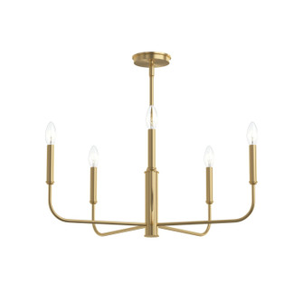 Reines Five Light Chandelier in Brushed Gold (54|P400446-191)