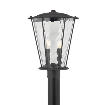 Jantzen Two Light Post Mount in Texture Black (67|P7115-TBK)