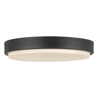 Bailey LED Outdoor Ceiling Mount in Black (347|EC47411-BK-5CCT)