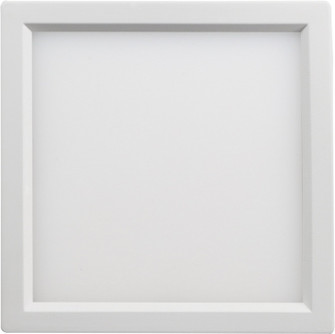 Troy LED Flushmount in White (40|47525-016)