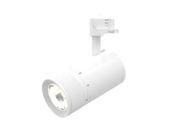 Focus LED Track Head in White (40|39714-30-02)