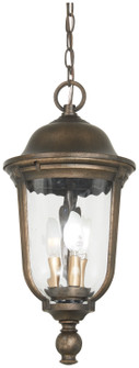 Havenwood Three Light Outdoor Chain Hung in Tauira Bronze And Alder Silver (7|73246-748)