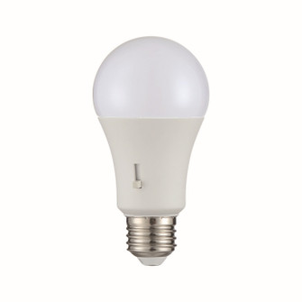 Light Bulb in Frost (51|LA1A19P9CE26D)