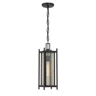 Jacobs One Light Outdoor Hanging Lantern in Matte Black (51|5-3806-BK)