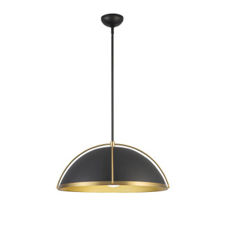 Dahlia One Light Pendant in Black, Brushed Brass (78|AC12041BB)