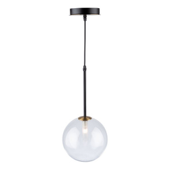 Aurelia One Light Pendant in Matte Black & Brass (78|AC11761VB)