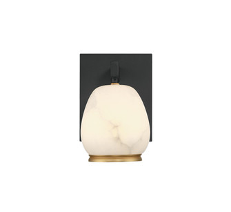 Lucidata LED Wall Mount in Black (541|12349-02)