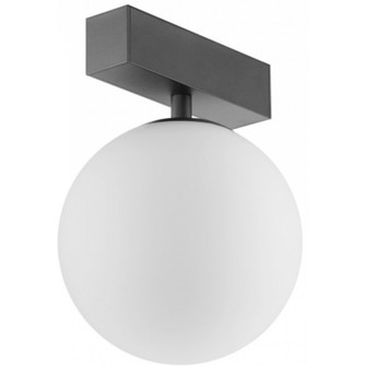 Avenue Lighting Magnetix LED Globe Light in Black (192|ML4100-BK)