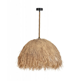 Malibu One Light Pendant in Hemp Rope/Black (192|HF1011-RP)