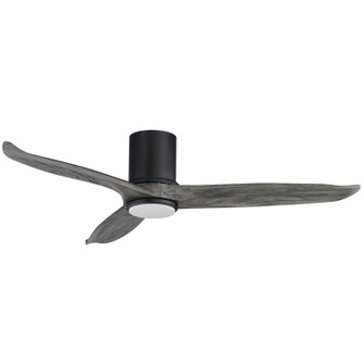 Woodwind 52'' Ceiling Fan in Black (16|88830WTBKGWD)