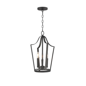 Arden Three Light Pendant in Black (16|10423BK)