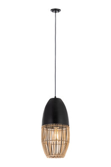 Downtown Urban Naturals One Light Mini Pendant in Matte Black (405|660-1P-BK-8NT)