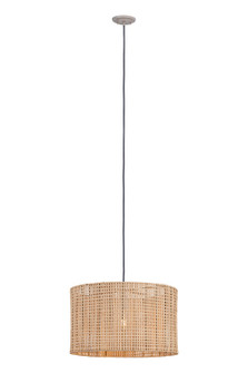 Downtown Urban One Light Pendant in Gold (405|658-1P-JT-20NT)