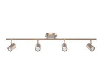 Pipe LED Fixed Rail in Brushed Nickel (34|TK-260504-CS-BN)