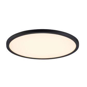 LED Disk in Black (110|LED-50098 BK)