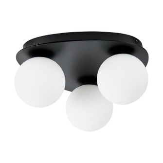 Castrovido LED Flush Mount in Matte Black (217|207114A)