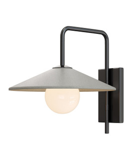 Bothy One Light Wall Sconce in Natural/Black/Frosted White (142|5500-0058)