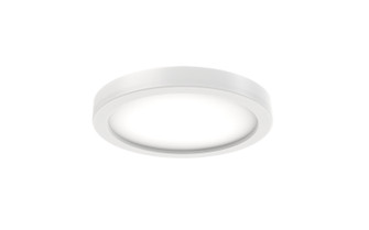 Ronan LED Light Kit in White (110|F-1060 LKO-WH)