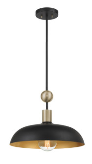BILOXI One Light Pendant in Coal (7|1995-862)