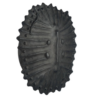 Neushoorn LED Wall Sconce in Ebony/English Bronze (314|GDDWC02)