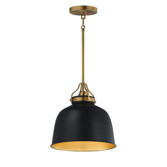 Hollis One Light Pendant in Natural Aged Brass (16|21424BKNAB)