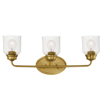 Acadia Three Light Bath Vanity in Natural Aged Brass (16|12263CDNAB)