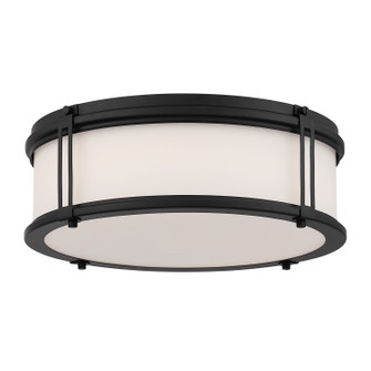 Merick LED Flush Mount in Dark Matte Black (7|16014-899-L)