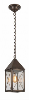 Ashford One Light Pendant in Dark Brass (405|9522-X-DB-CL)