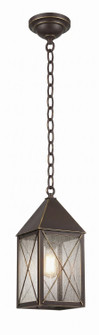 Ashford One Light Pendant in Bronze (405|9522-X-BZ-SDY)