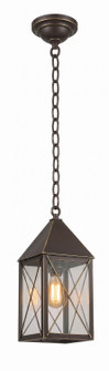 Ashford One Light Pendant in Bronze (405|9522-X-BZ-CL)