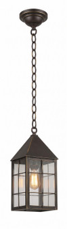 Ashford One Light Pendant in Bronze (405|9522-H-BZ-CL)