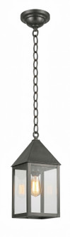 Ashford One Light Pendant in Gunmetal (405|9522-GM-CL)