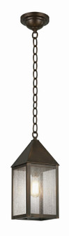 Ashford One Light Pendant in Dark Brass (405|9522-DB-SDY)