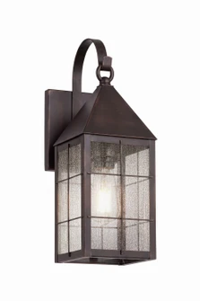 Ashford One Light Wall Sconce in Dark Brass (405|9521P-H-DB-SDY)