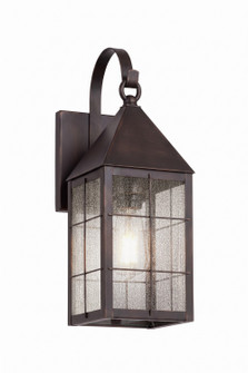 Ashford One Light Wall Sconce in Dark Brass (405|9521P-H-DB-SDY)