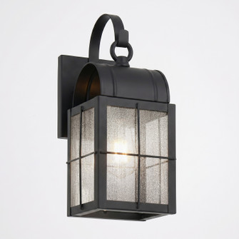 Durham One Light Wall Sconce in Matte Black (405|9131P-H-BK-SDY)